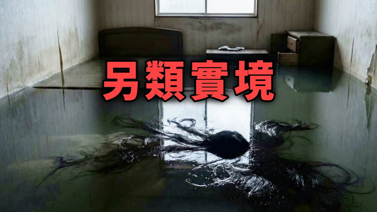 另類實境租屋網...看起來像凶宅的誰敢住阿【阿津】恐怖遊戲合集：第216集