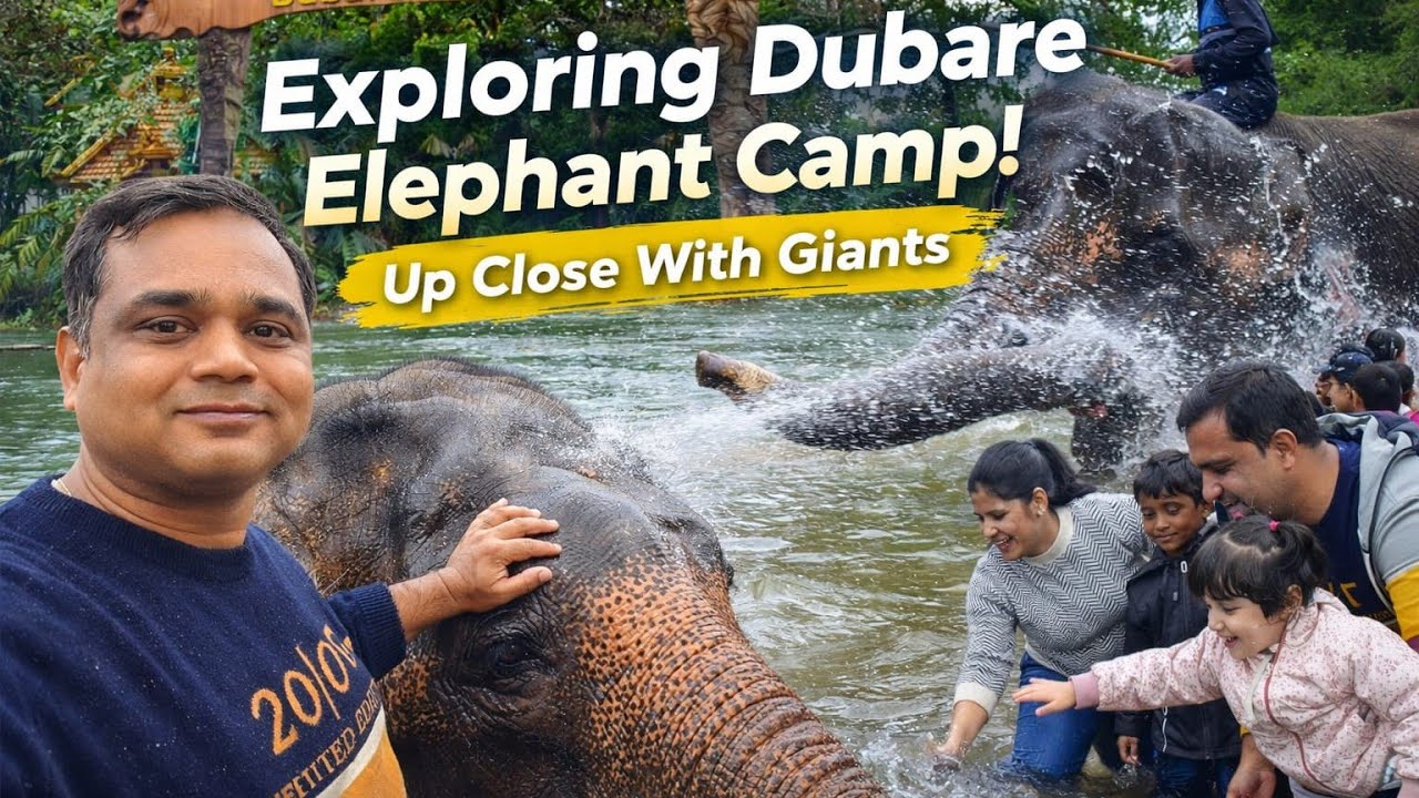 Exploring Dubare Elephant 🐘 camp | #hathi #dubareelephantcamp #roadtrip #khao_pio_ghoomo 