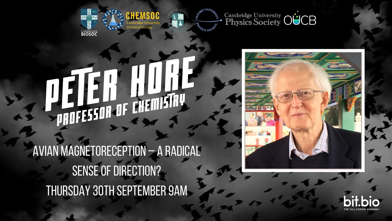 Varsity Sci - Prof Peter Hore - 