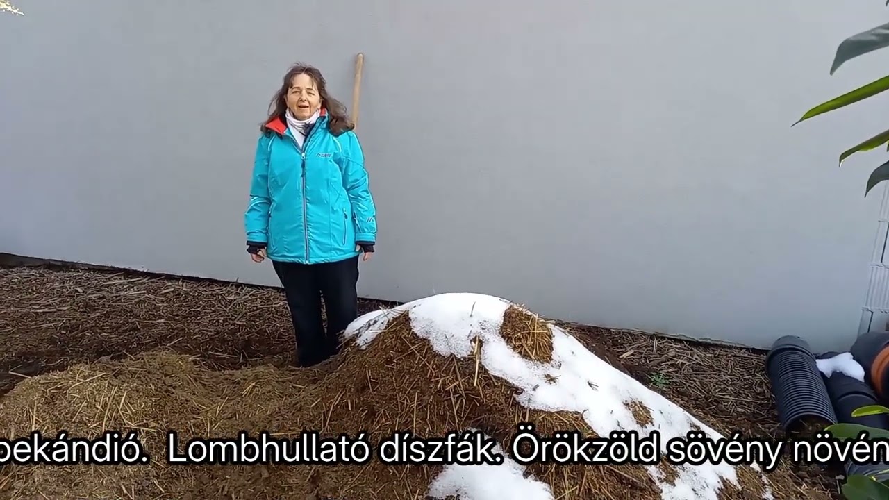 Több termés, életerős sövények: A 30 éve bevált módszer a kertemben!