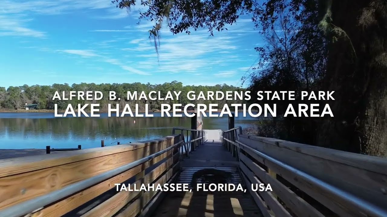 Drone Aerial - Maclay Gardens State Park - Lake Hall Recreation Area - Tallahassee, Florida, USA