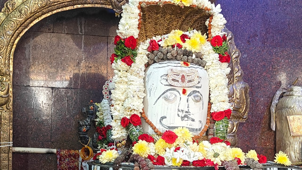 ବହୁତ ଲେଟ୍ ଆଜି 😔  🤗 ଯିଏ ଭାଷା କହିବ ମତେ ଚିହ୍ନିବ ଠିଆ ଫାଡିଦେବି 😡 happy rose day 🌹har har Mahadev 🙏