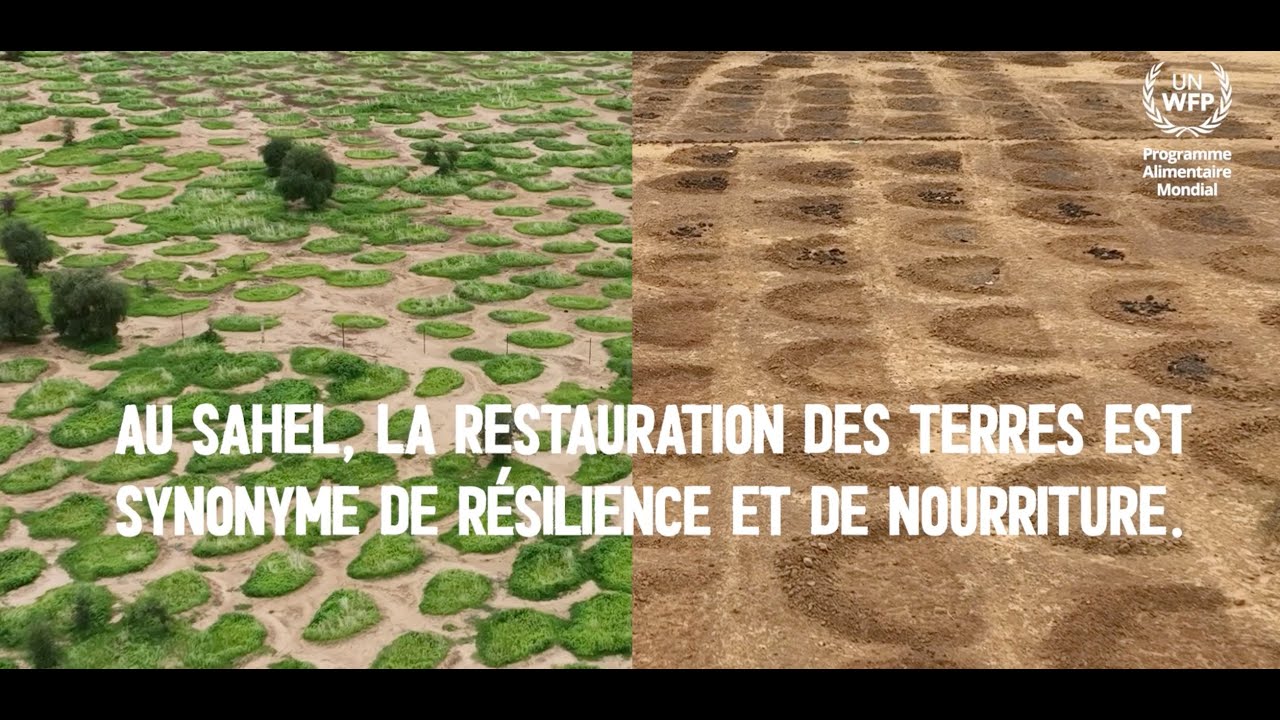 Restaurer la terre, reconstruire des vies — Mauritanie | PAM au Sahel
