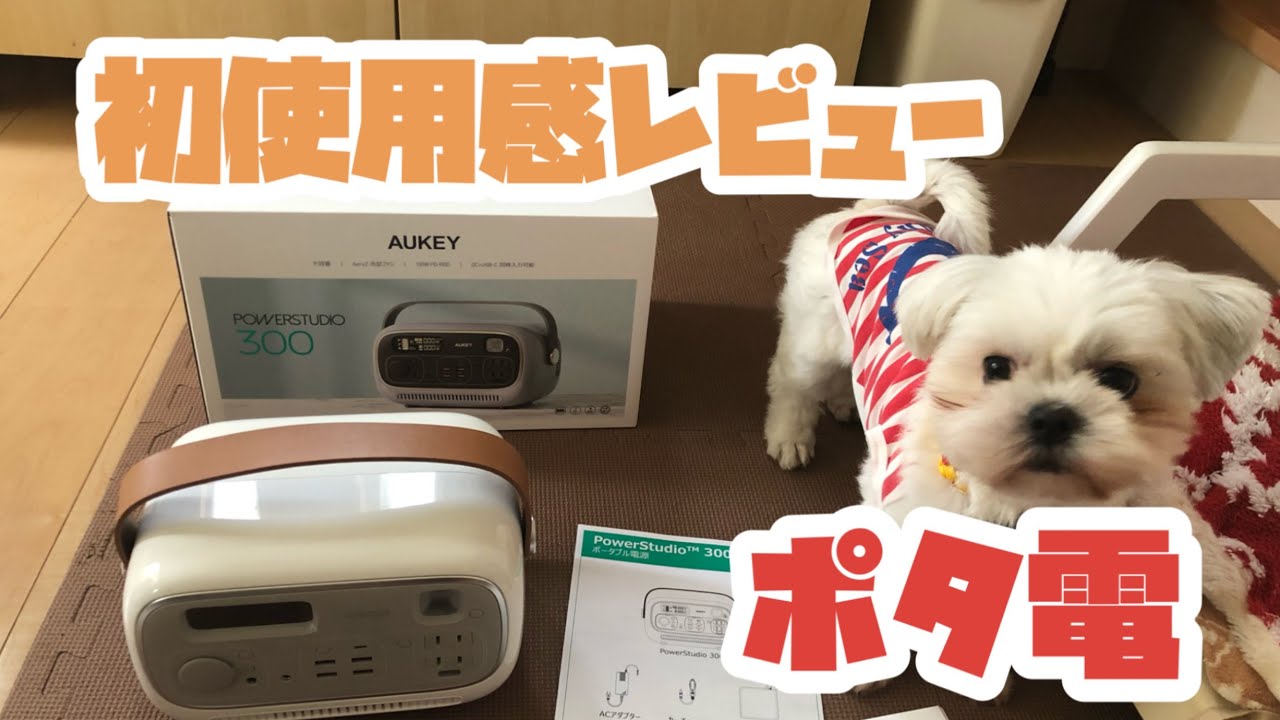 シーズーはな　マルシーズーむぎ〜AUKEY（オーキー）充電器 ポータブル電源 Power Studio 300 297wh開封の儀〜