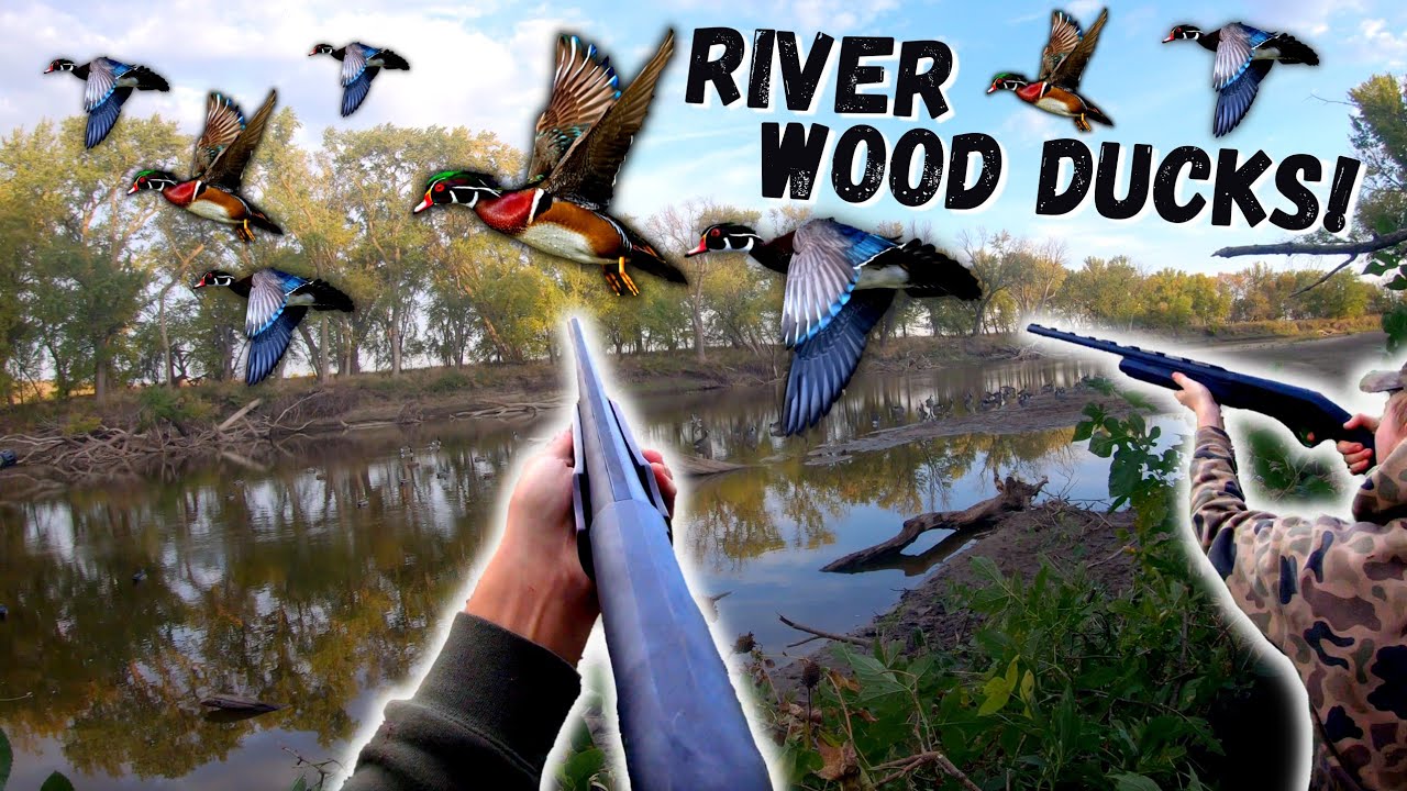 EPIC River DUCK HUNTING on Opening Weekend! (Wood Ducks EVERYWHERE)