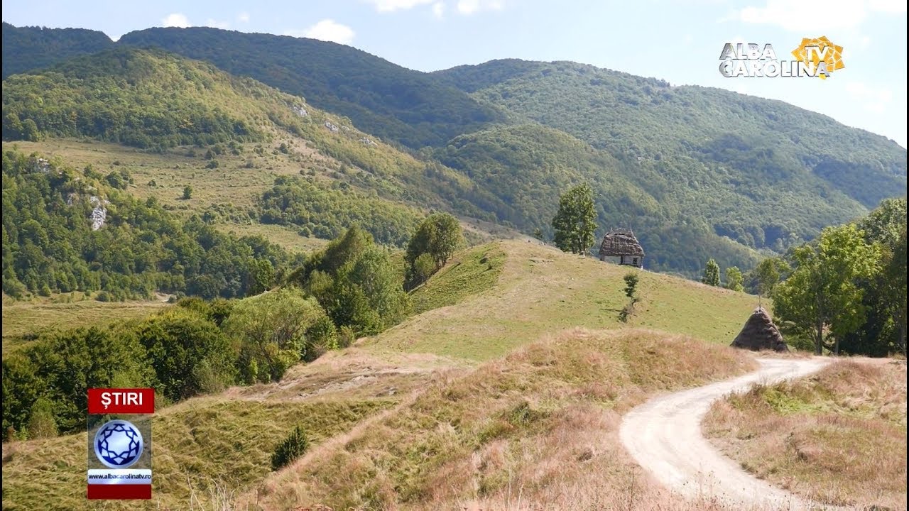 PE UN PICIOR DE PLAI ...   SĂLCIUA!