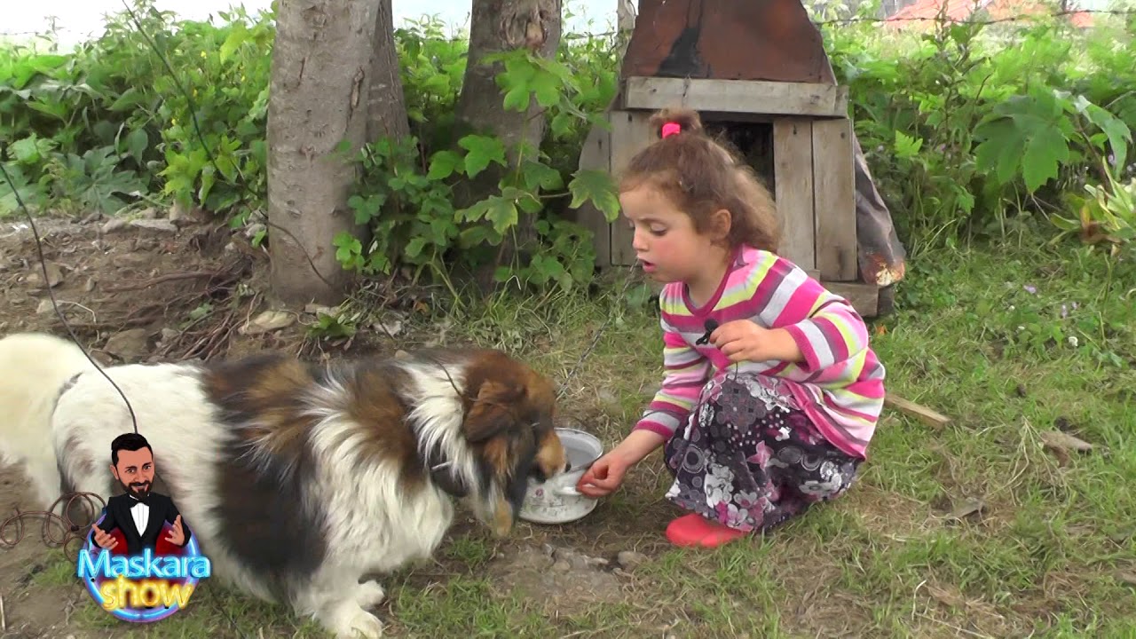 Trabzonlu minik Ravza'yı bulduk