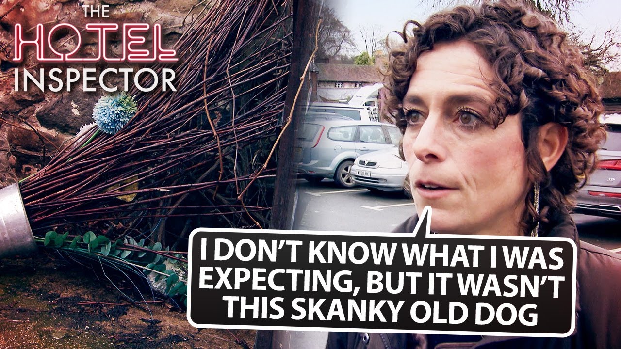 Alex Polizzi's BEST Verbal Takedowns For 20 Minutes | The Hotel Inspector | Compilation