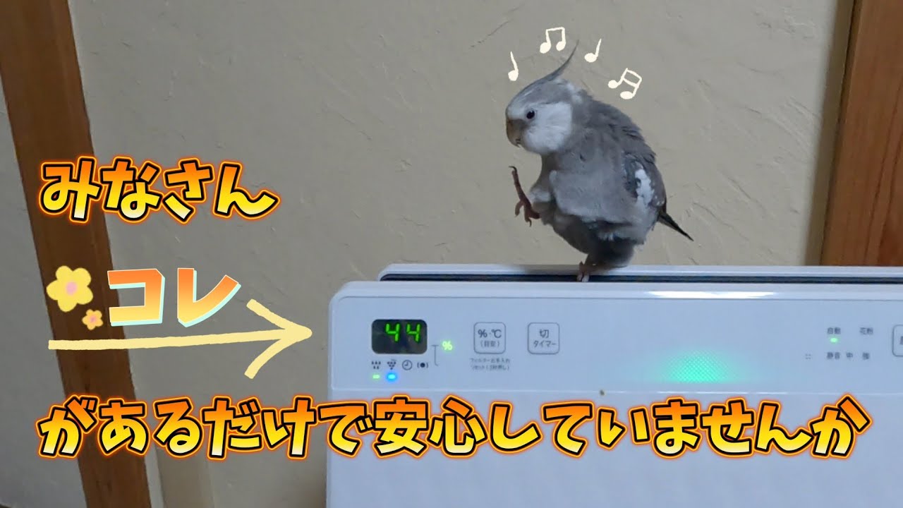 【検証】加湿空気清浄機は置けばいいってもんじゃないんです！
