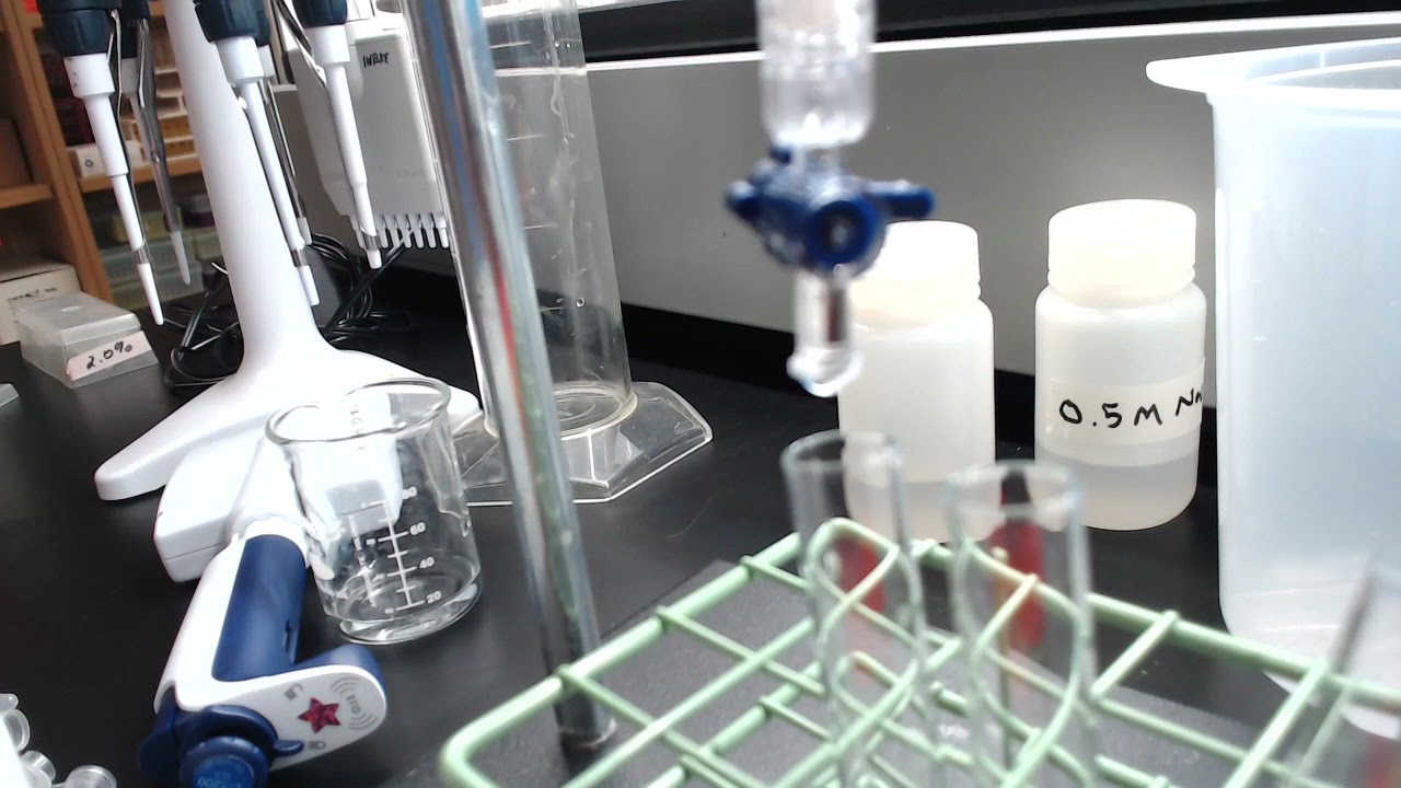 In the Lab - Ion exchange Chromatography Part 2