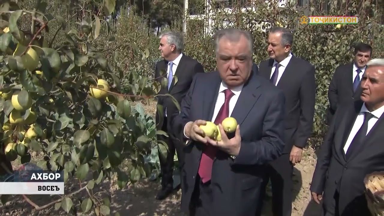Боздид аз боғи хоҷагии деҳқонии Миралӣ Маҳмадалии дар ноҳияи Восеъ