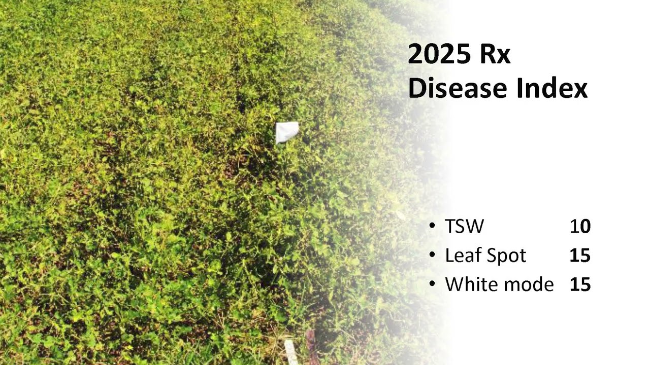 2026 Georgia Peanut Farm Show - Seed Seminar - Dr. Phat Dang