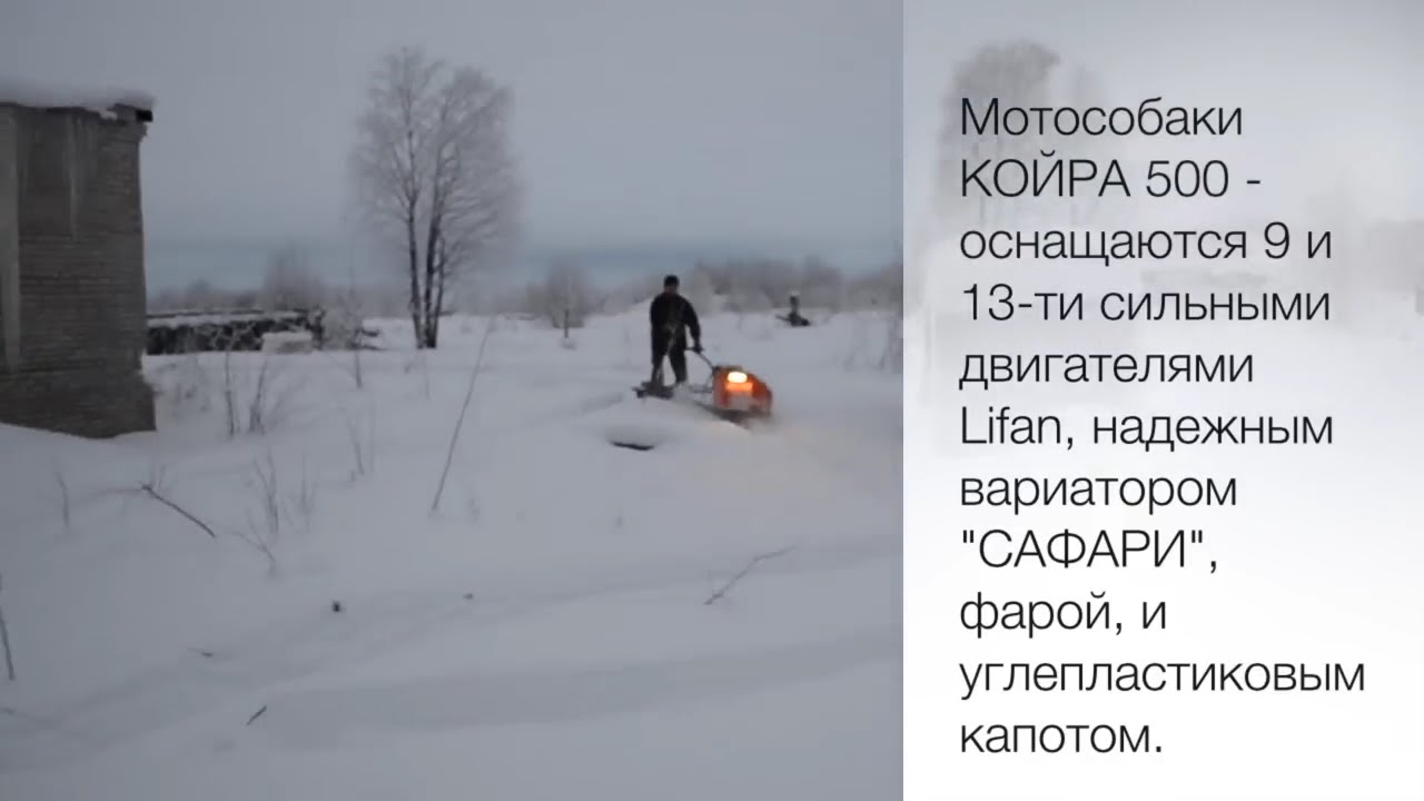 Мотособака для глубокого снега КОЙРА 500 | KOiRA
