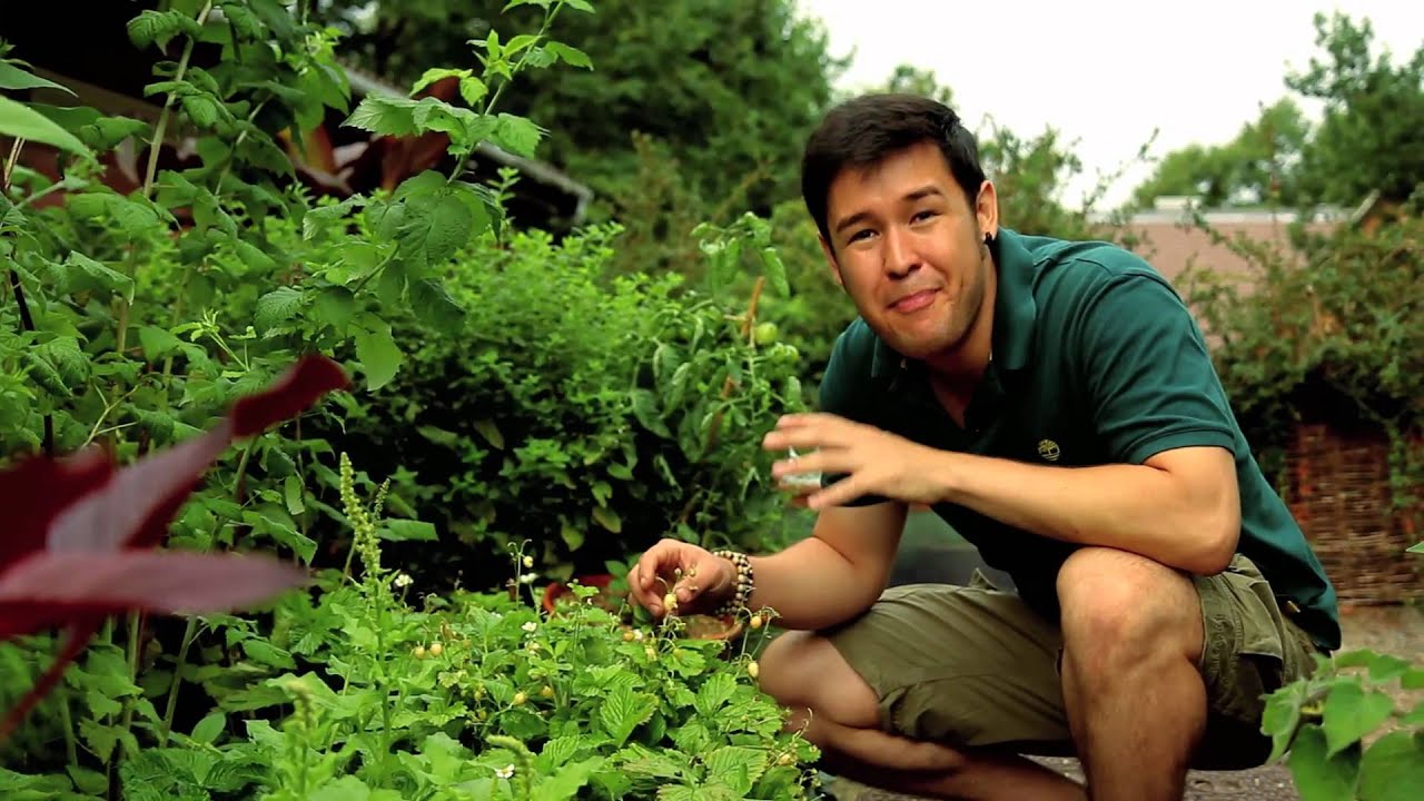 James Wong's Exotic Fruit for UK gardens!  - Homegrown Revolution