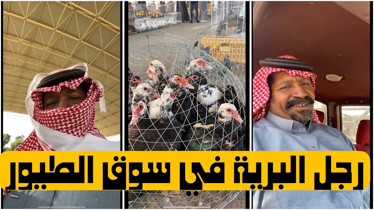 يوميات رجل البرية | يوم جميل في سوق الطيور | #السعودية 23-2-2024