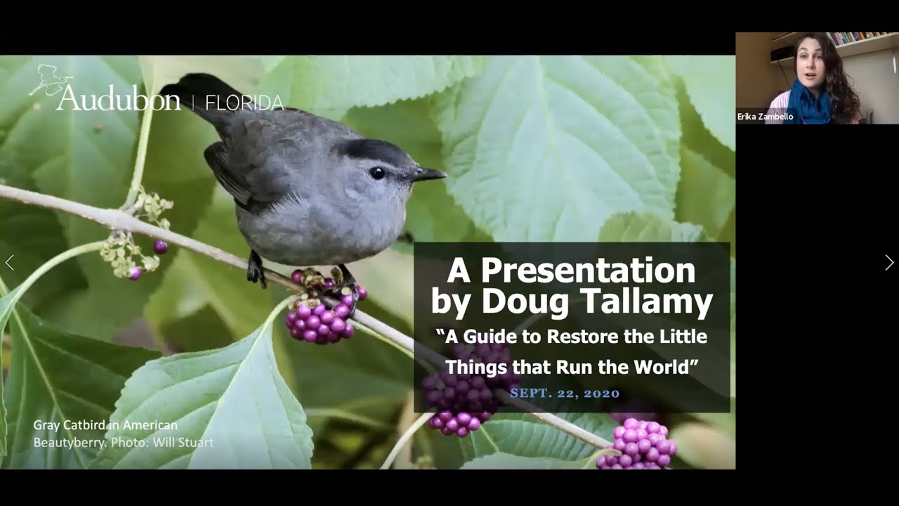 A Presentation by Doug Tallamy: Restoring the Little Things that Run the World