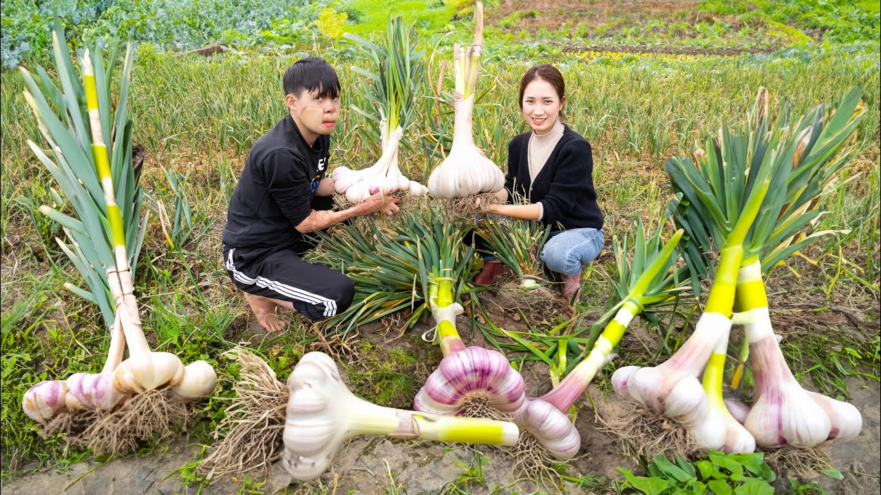 Harvest leek| Garlic & Chili Soaked In Fish Sauce With Traditional Recipe - Goes To The Market Sell