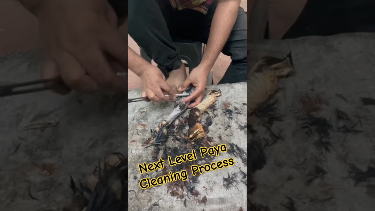 Next Level Paya Cleaning Process #food #recipe #cooking 👨&zwj;🍳🍲 #kharode #food #muttonpaya #paya