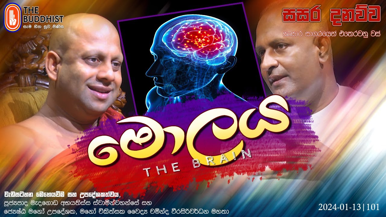 Sasara Danauwa | සසර දනව්ව (මොලය - The Brain) 2024-01-14