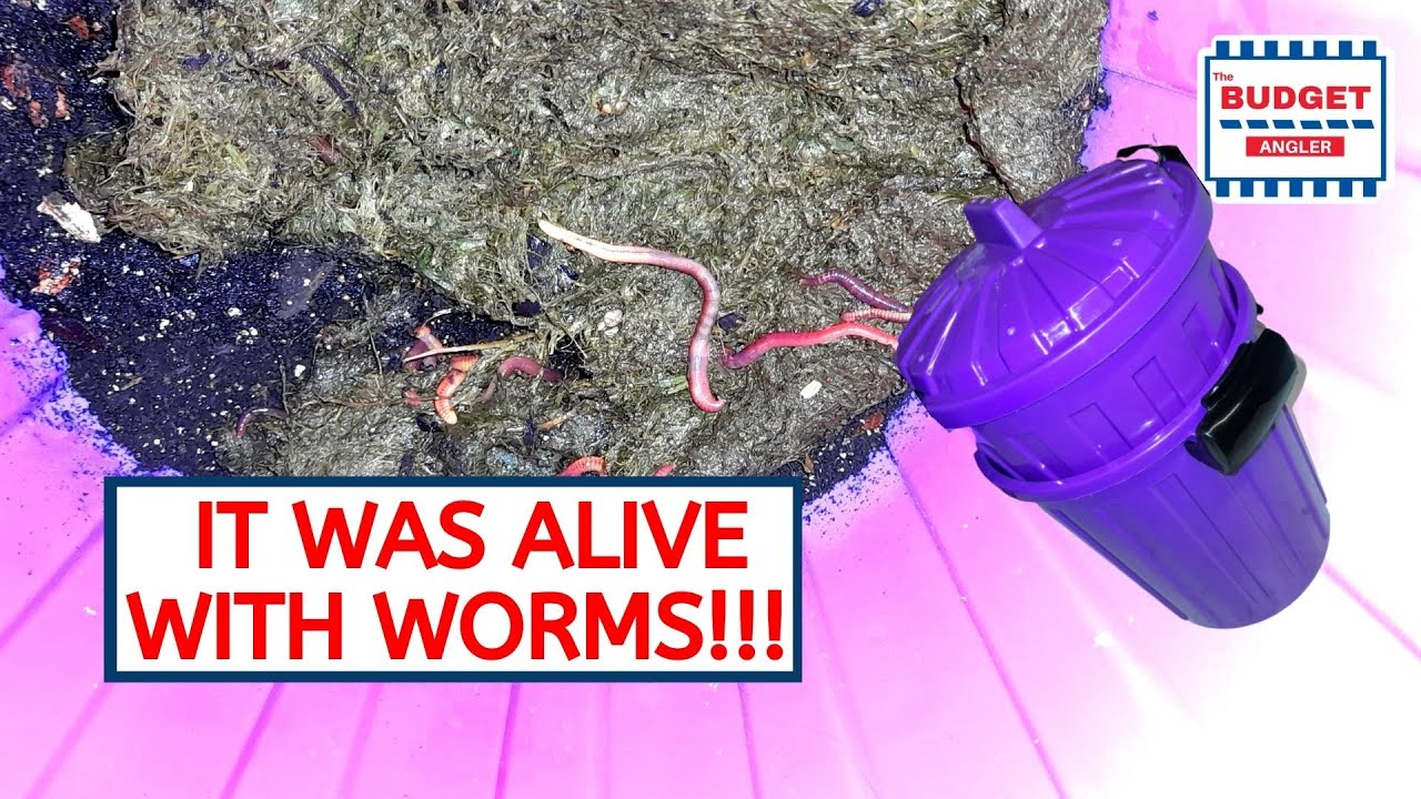 Free Bait | Making a Worm Farm & Harvesting Worms