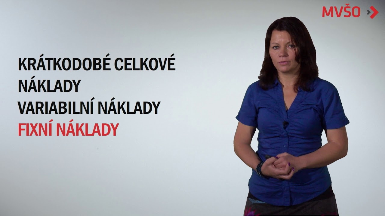 Ekonomické pojetí nákladů firmy | EDULAM