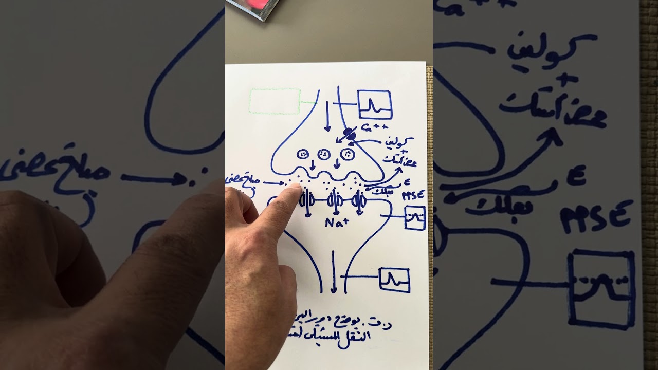 كمون العمل ملخص عالمي بكالوريا علوم الطبيعة والحياة 