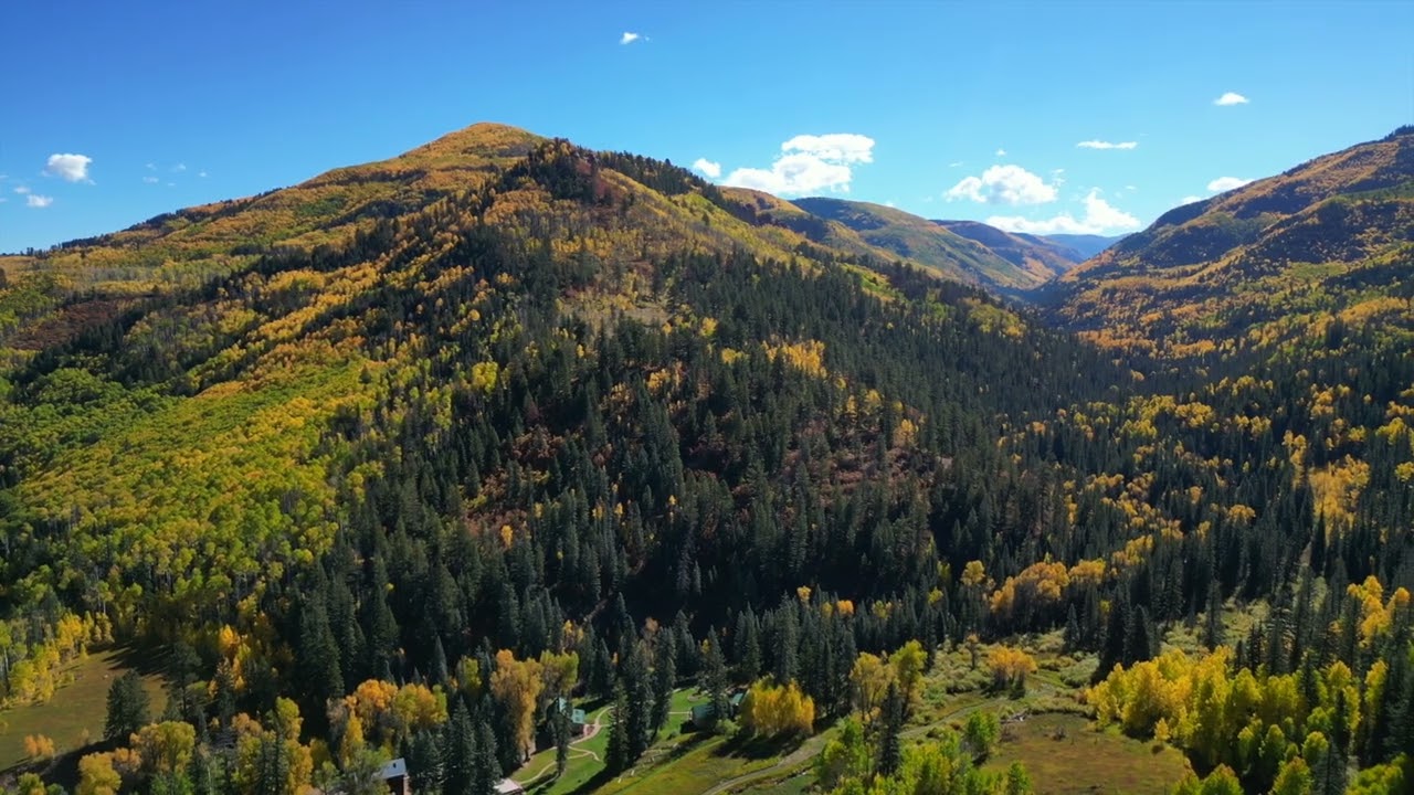 Dolores River Canyon Fall Colors 23