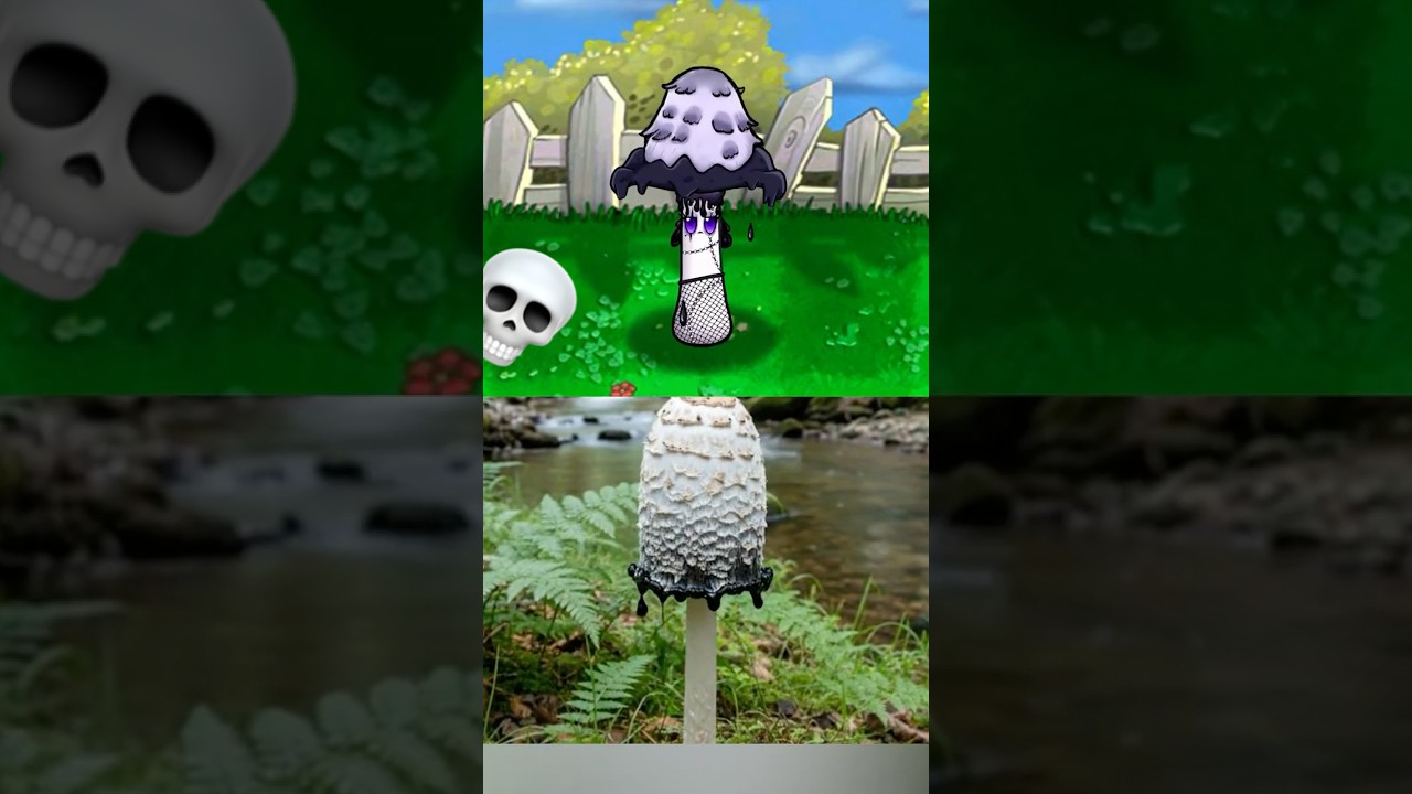 The Shaggy Ink Cap🍄&zwj;🟫 (PVZ) #pvz #plantsvszombies
