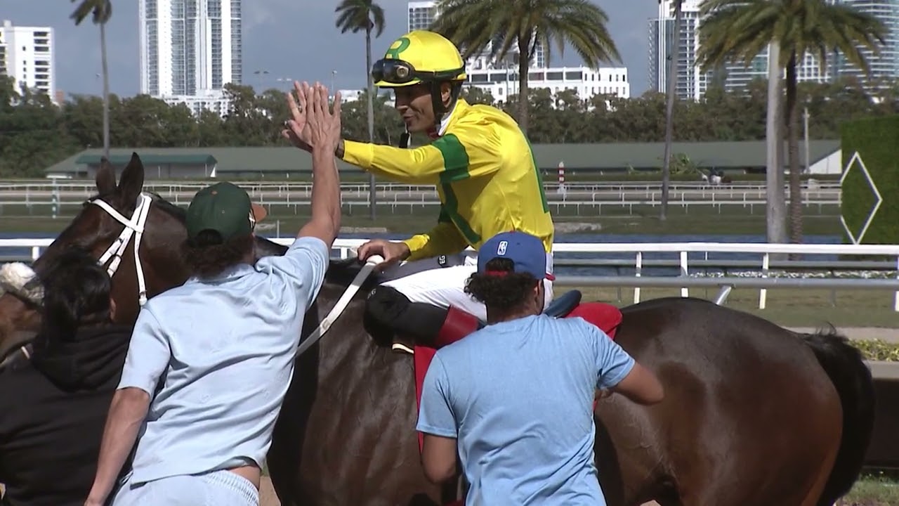 Gulfstream Park Replay Show | February 15, 2026