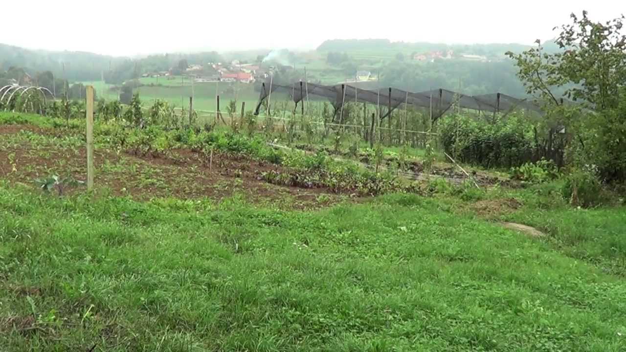 Ekološka kmetija Kastelic