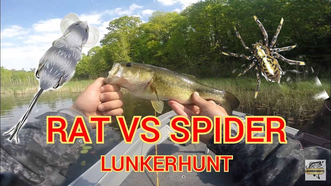 LUNKERHUNT TOPWATER ( Rat VS Spider)