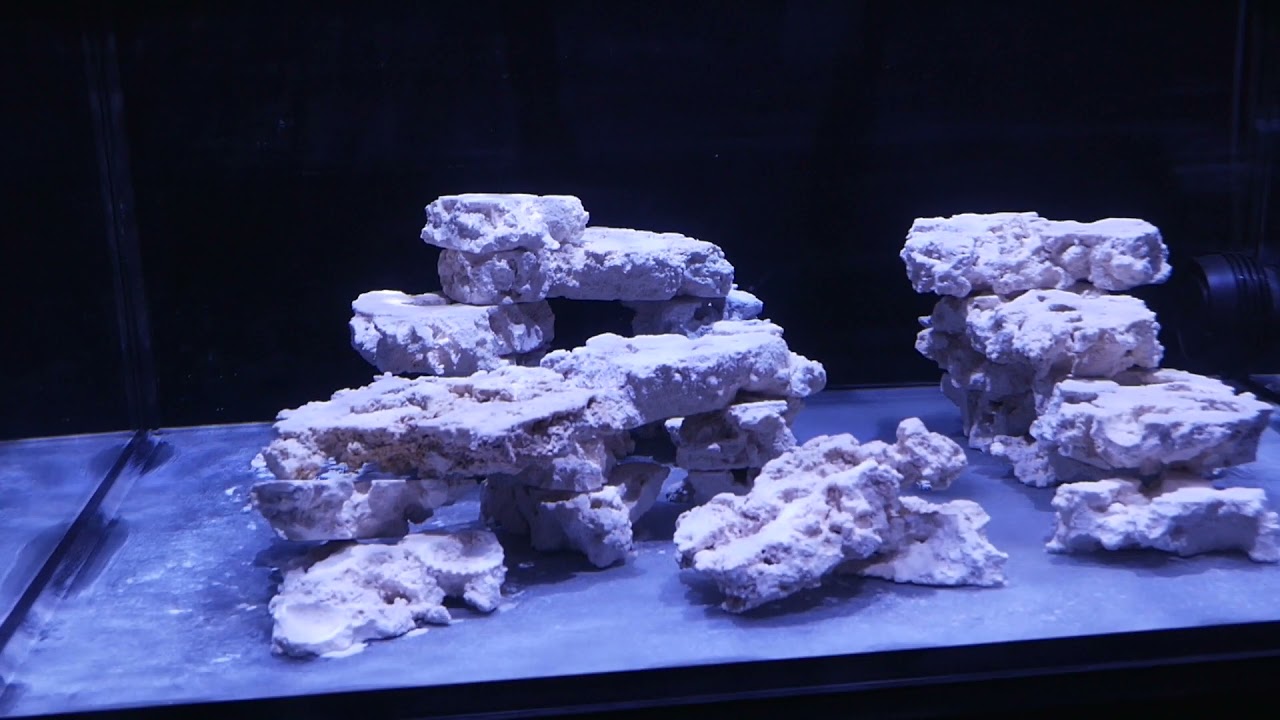 Nuvo 25 Unboxing and First Impressions - Innovative Marine AIO Nuvo 25 Shallow Nano Aquarium
