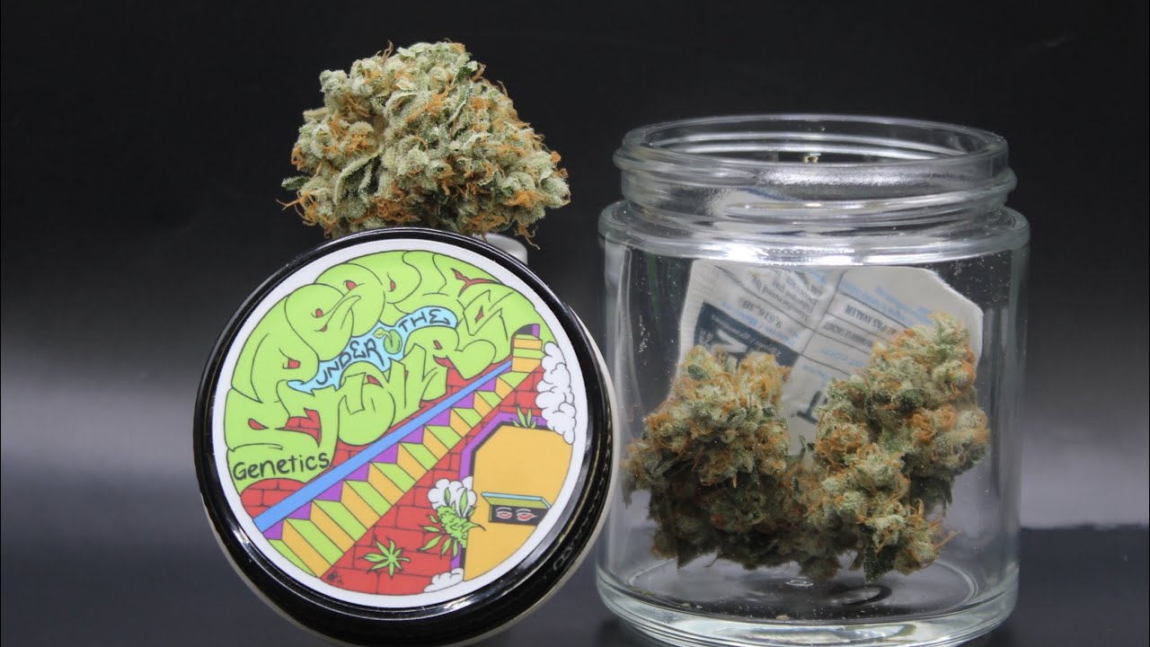 SFV SOUR By People Under The Stairs Genetics STRAIN REVIEW