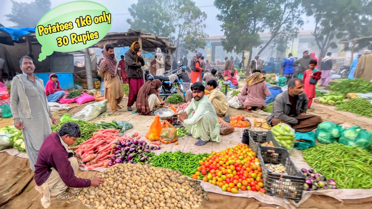 Pakistani Village Vegetable & Fruit market ( sabzi mandi) tour in Tando Allahyar sindh pakistan