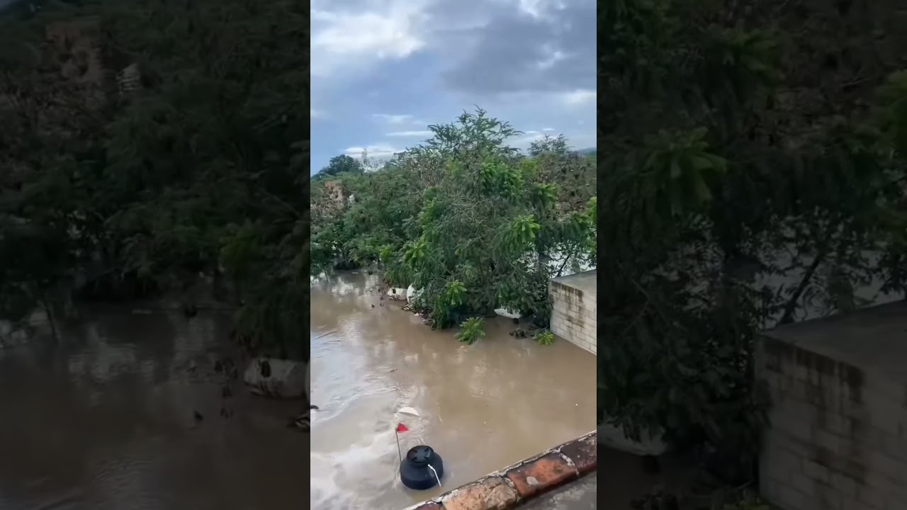 Shocking Flood Scenes 😱 #floods #flood #disaster #shorts