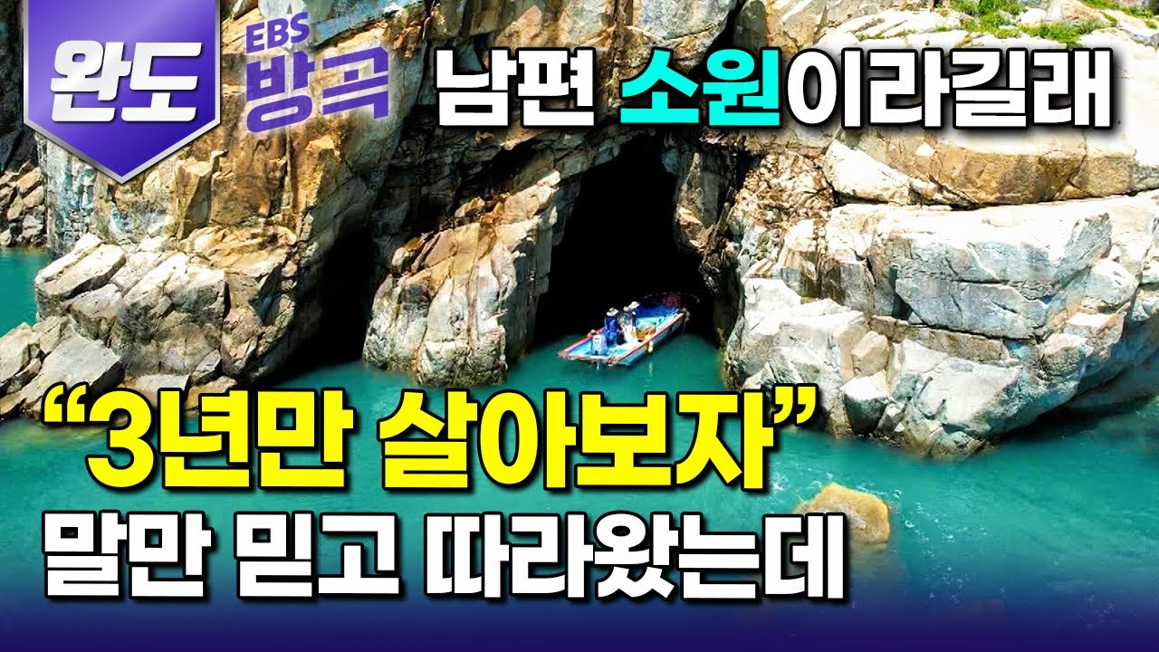 [전남 완도] 