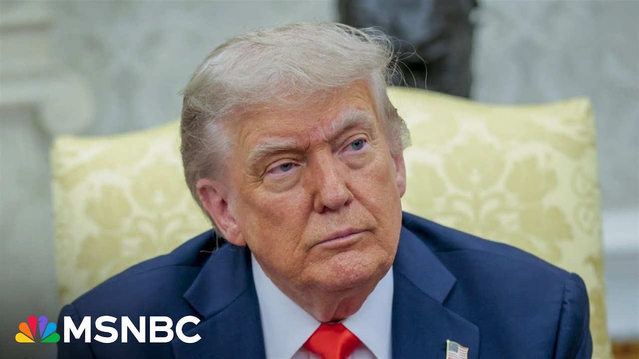 ‘You don’t need a permission slip to call out the president’s character’: Fmr. Trump admin. staffer