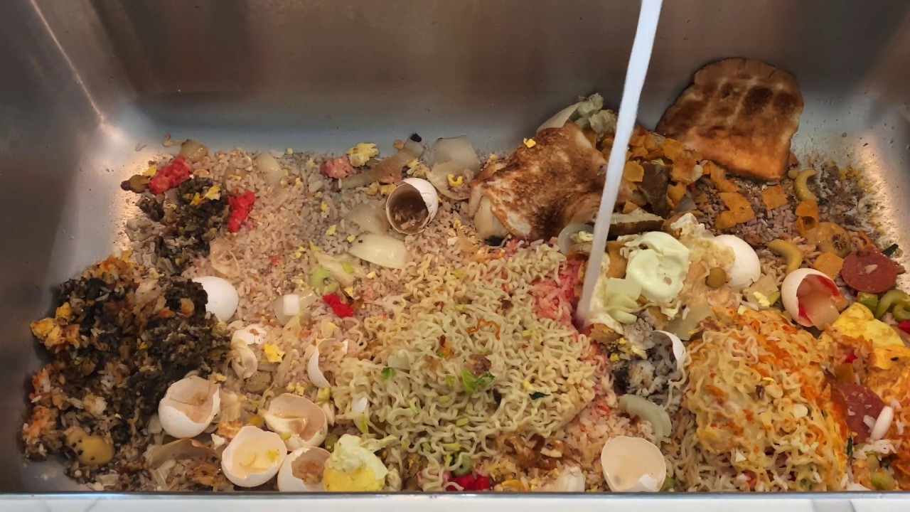 Garbage Disposal (Full Sink of Food)