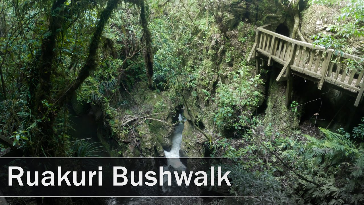 Ruakuri Bushwalk, Waitomo, New Zealand | 4K