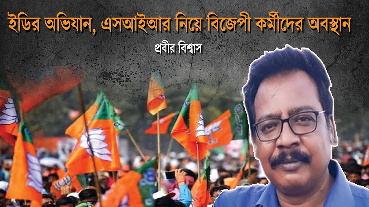 ED Raid SIR নিয়ে BJP কর্মীরা কি ভাবছেন | Prabir Plus | Prabir Biswas