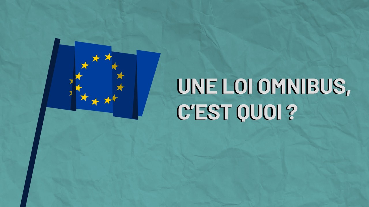 Une loi Omnibus, c'est quoi ?