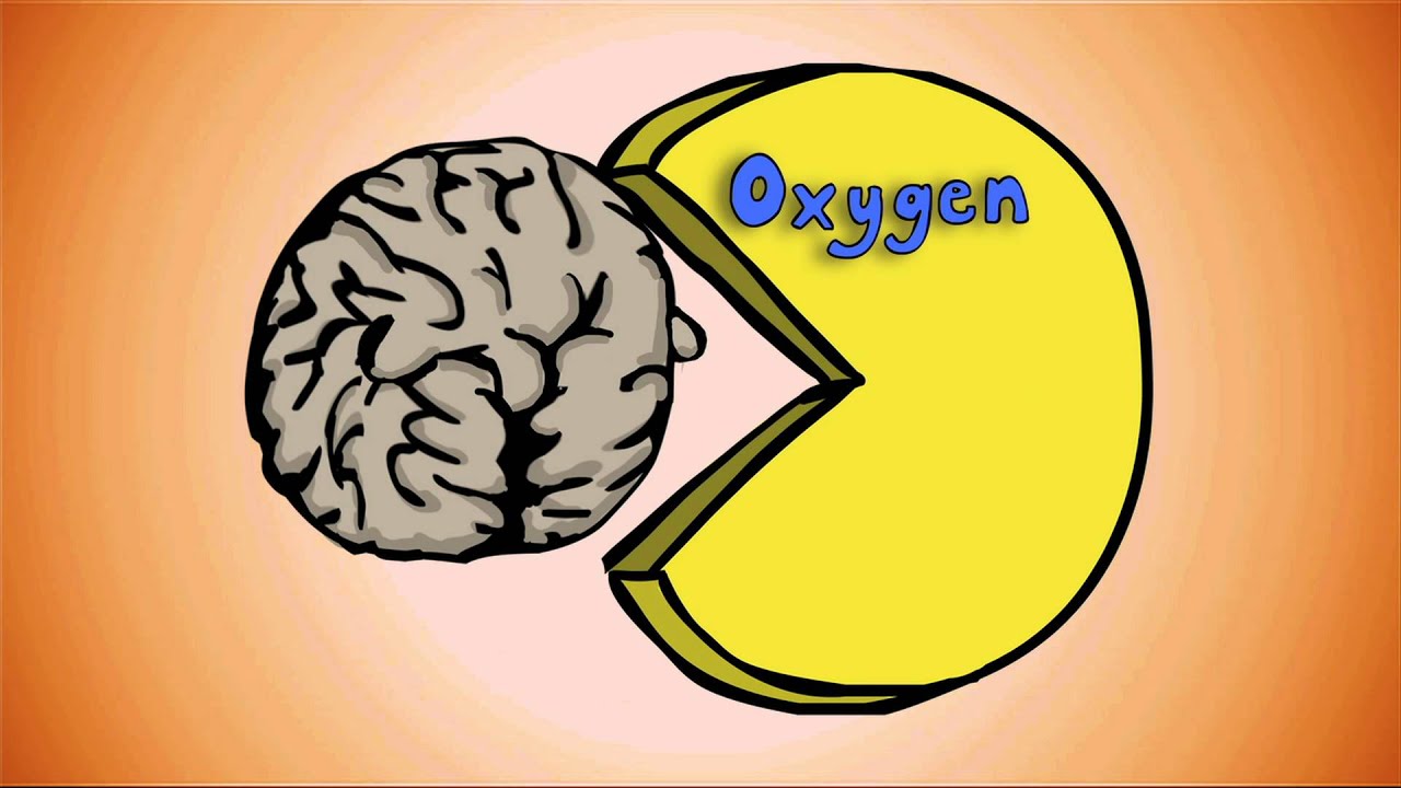 Question Your World - How Amazing is the Human Brain?