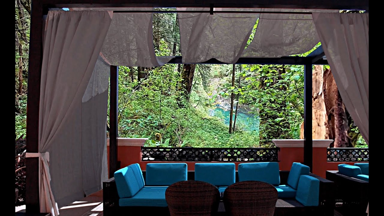 Tropical Rain Forest Ambience - Light rain, Jungle and River sounds for ultimate relaxation