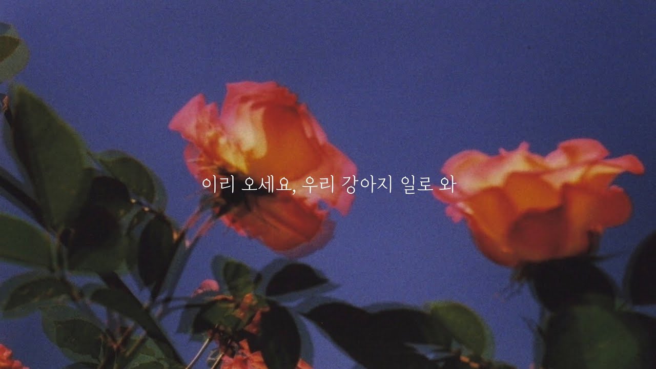 🌹 이토록 다정한 오구오구, || 간질간질 나른하게 재워주는 연상 여자친구 || 달달 | 오디오 드라마 | 여자asmr | 백합asmr / 남성향