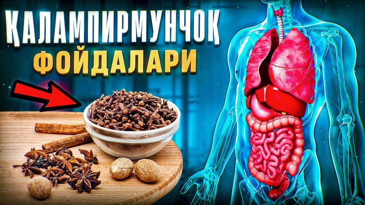 Қалампирмунчоқ фойдалари | Доктор Гулбаҳор