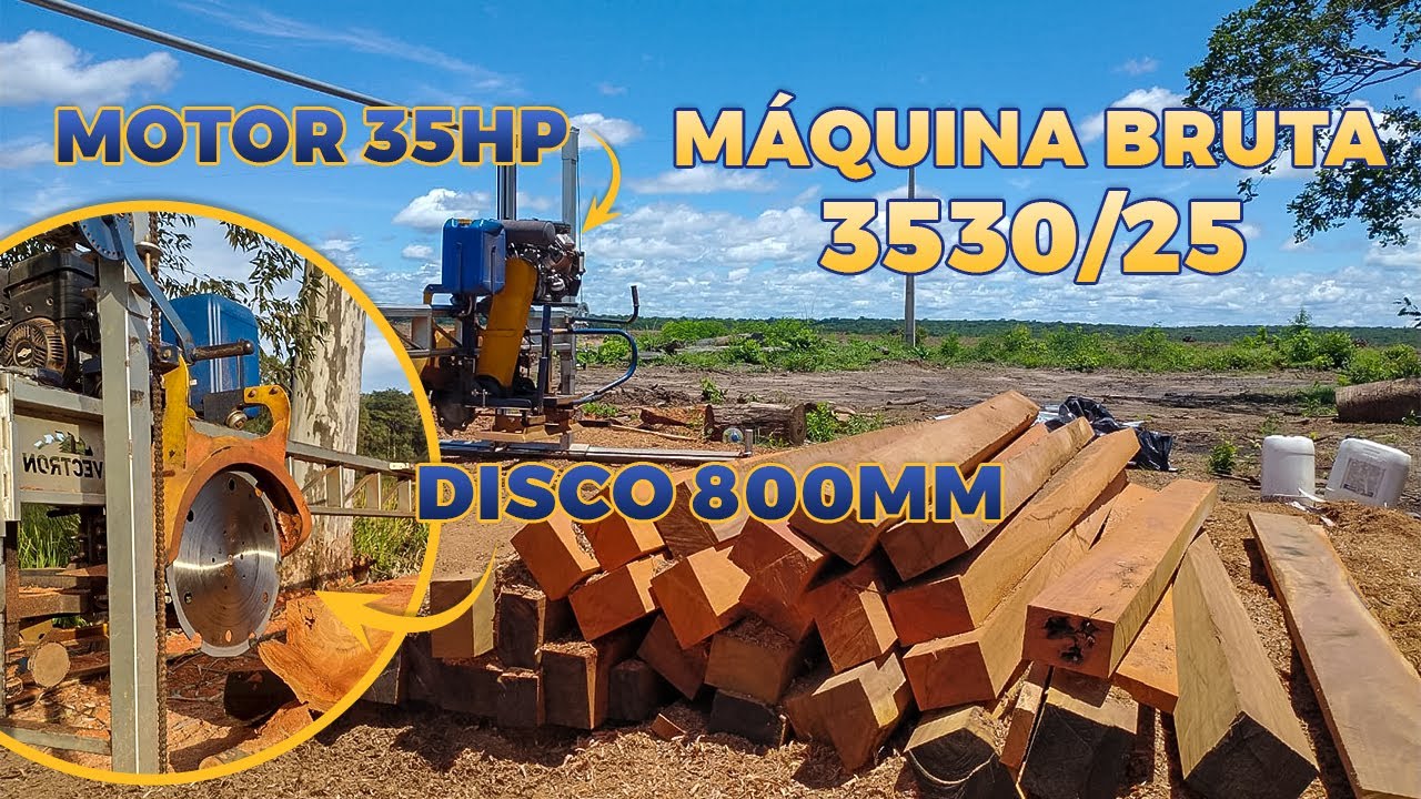 LIMPEZA DE TORA - MANGUEIRA (Mangifera indica) #madeira #wood