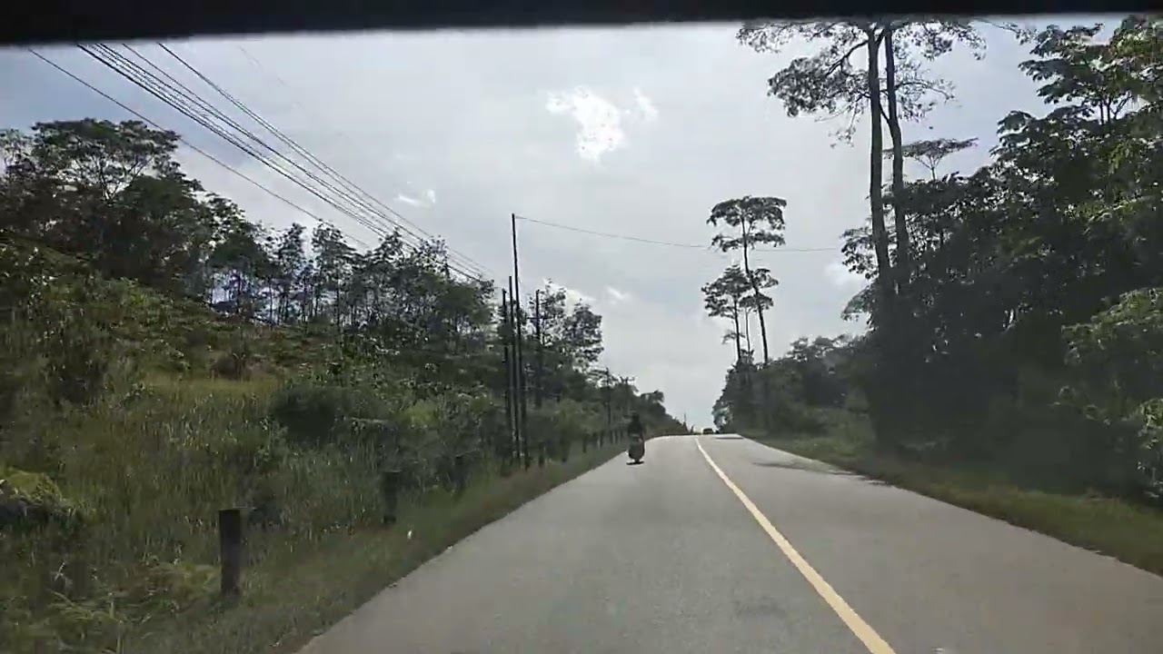 Desa Cempedak Kecamatan Tayan Kabupaten Sanggau #vlog