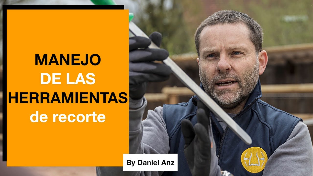 Manejo de las herramientas de recorte de cascos