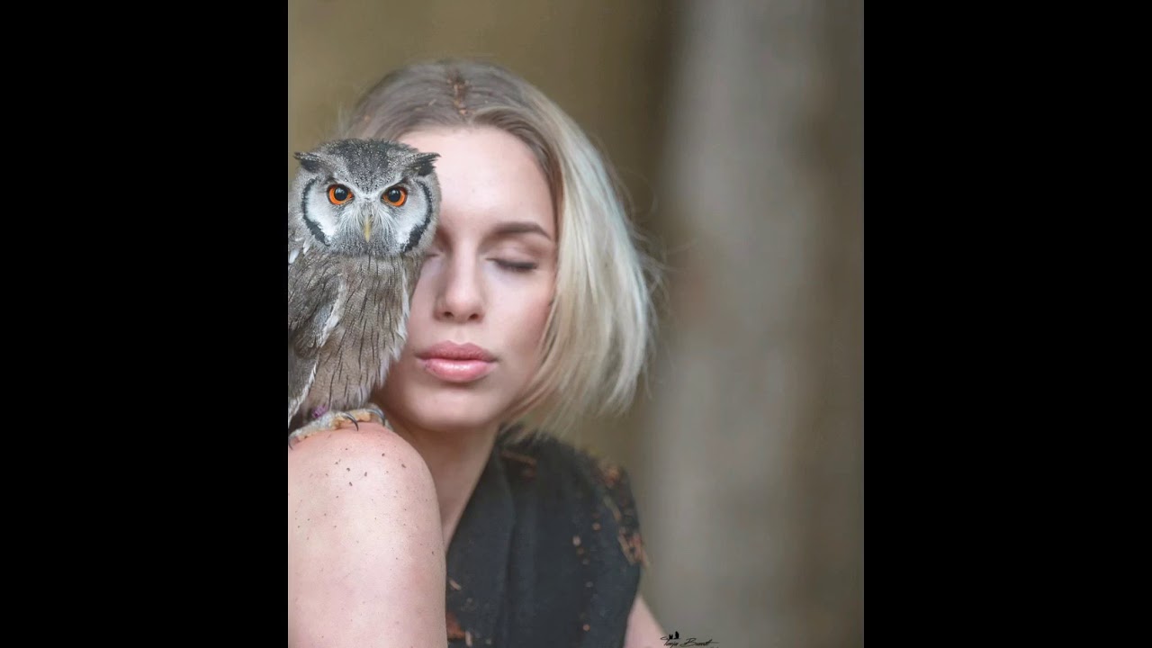 owl lovers