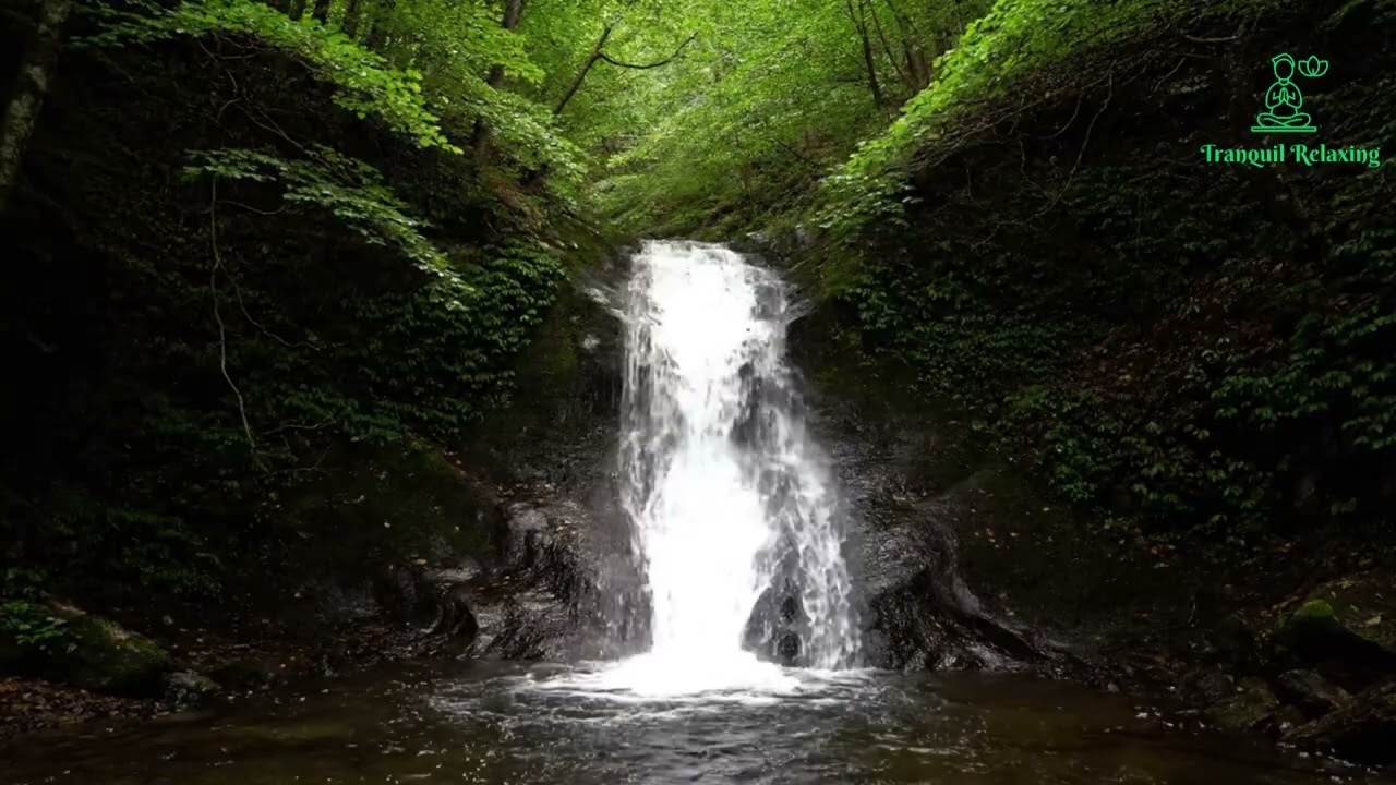 Tranquil Relaxing_Waterfall in the Silent Forest | Deep Nature Calm & Peace
